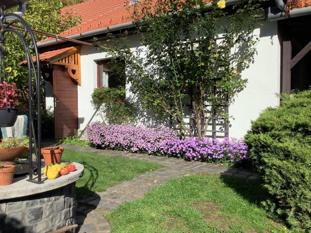 Magnolia Garden Apartment Мисколк Екстериор снимка